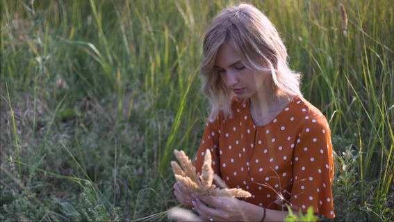 为什么碰含羞草会让毛发脱落,有含羞草需要注意什么