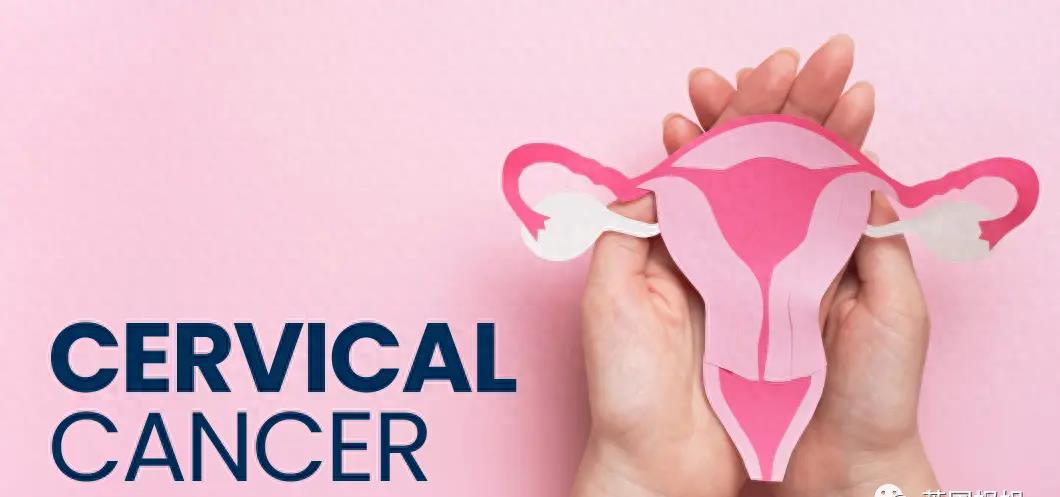 全球最美女人之一去世，仅26岁！曾在中国参加选美比赛，外网悼念