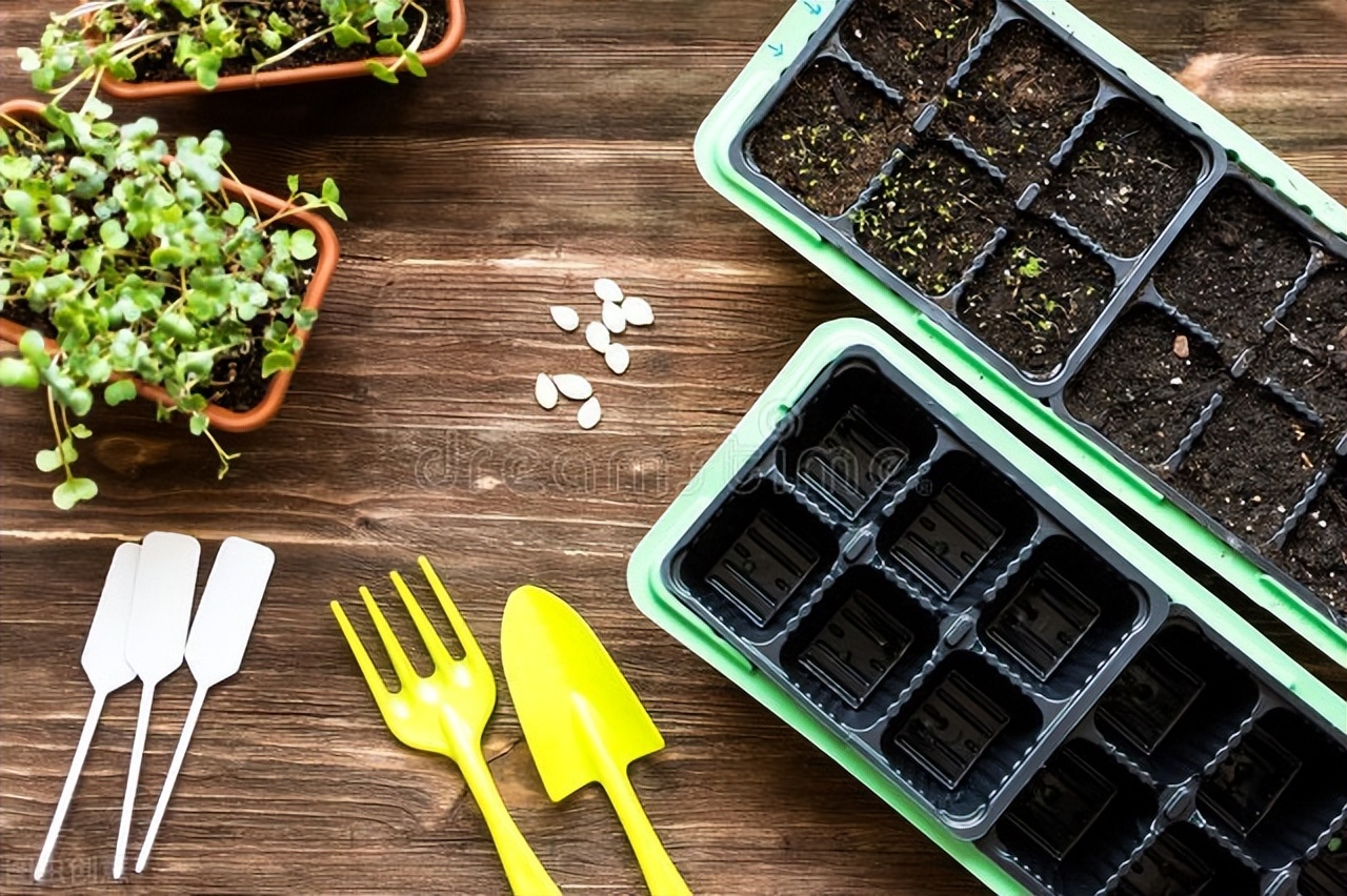 原创诗词集100首,原创诗词大全100首