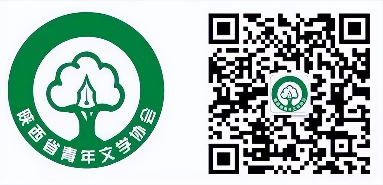 图说我的十年与未来|杜琛:为文学陕军走向世界做出踏实的贡献