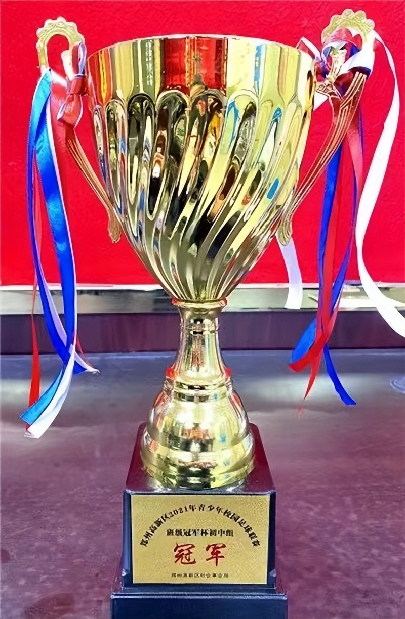 喜报我校喜获多项市级荣誉,喜报学校获殊荣