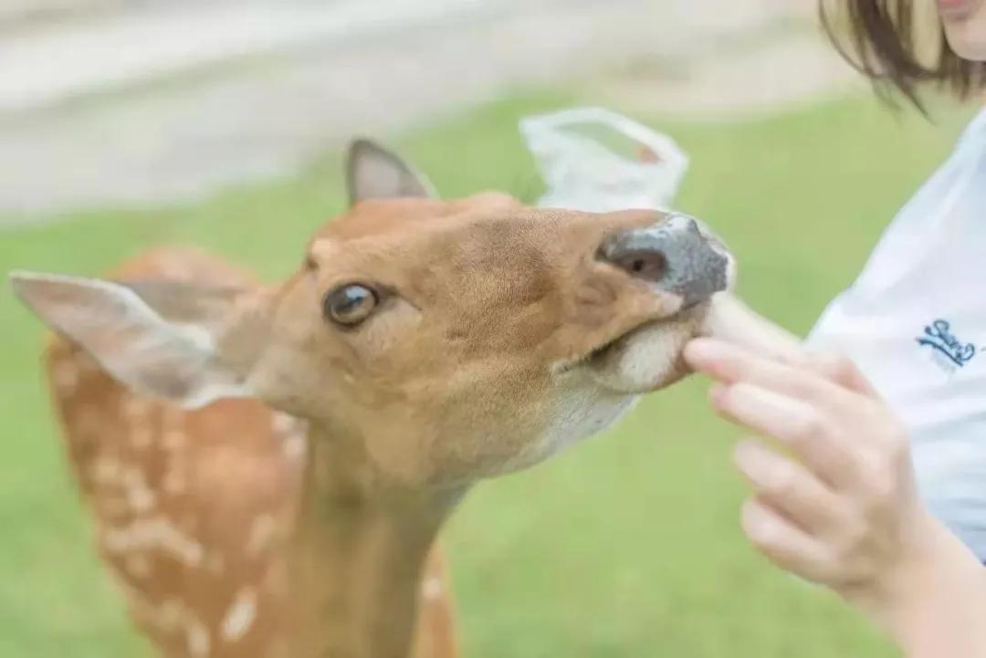 春节最值得一去的4个小众旅行地,春节川内游攻略