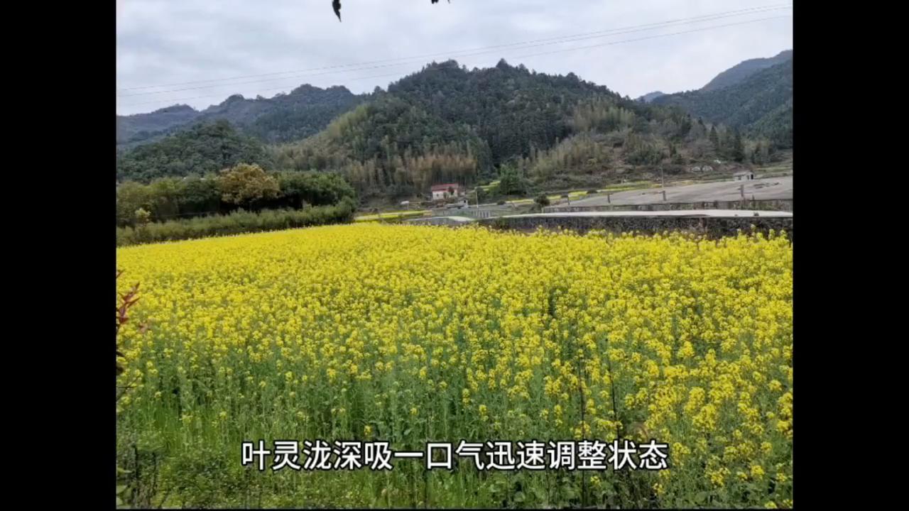 随手一拍都是美景横屏观看,随手一拍都是美景蓝天白云