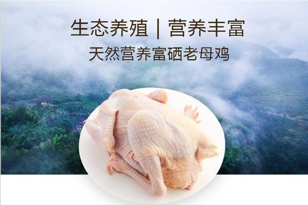 鸡富含硒元素,富硒鸡硒含量