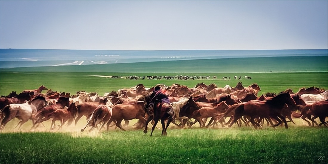 唐朝与回鹘的绢马贸易,唐朝茶马贸易的含义