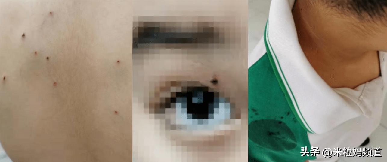 面对霸凌父母的反击,当孩子被欺负时妈妈霸气反击