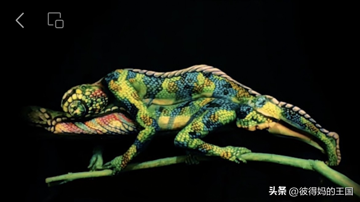 惊艳你的人体艺术！