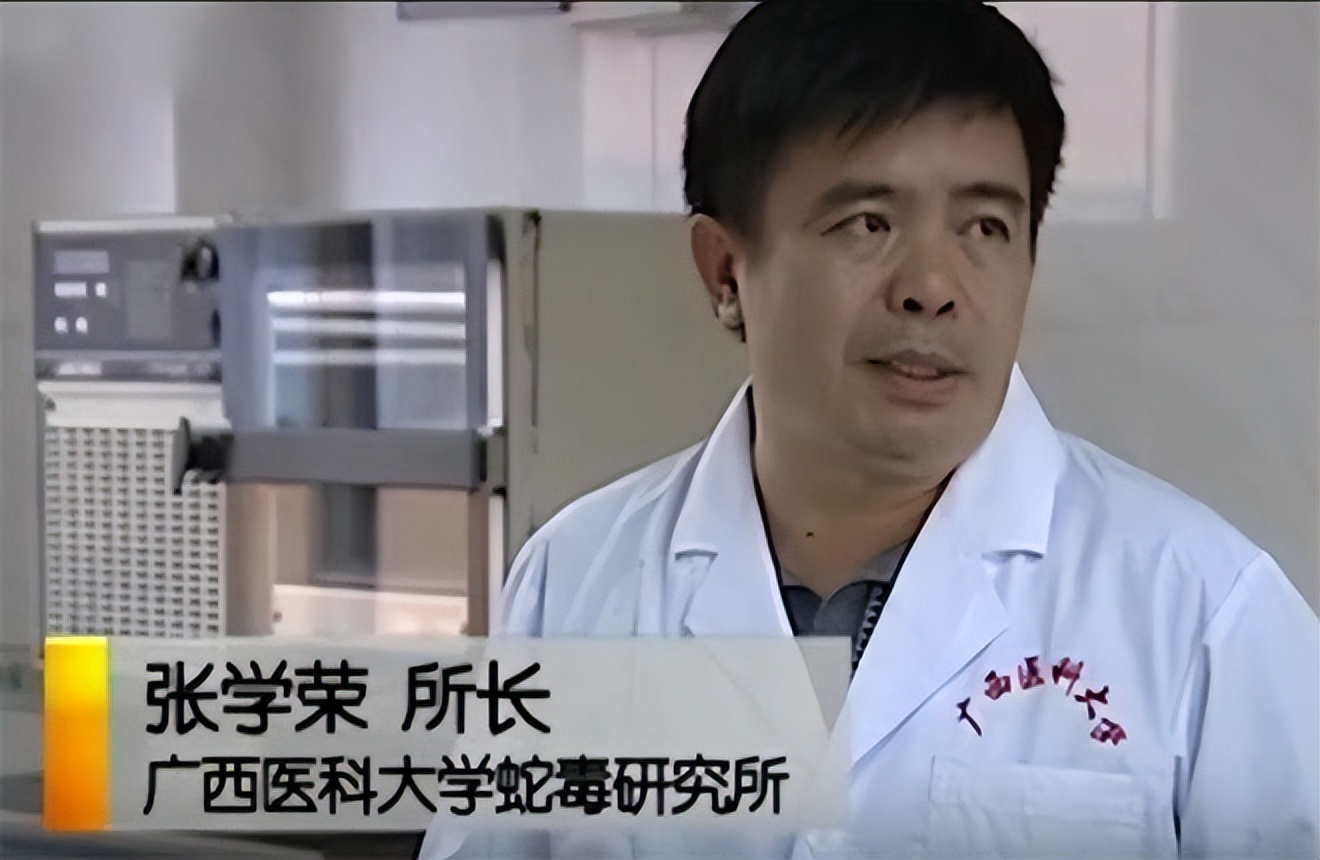 广西毒蛇女王是谁,广西毒蛇女王多少斤