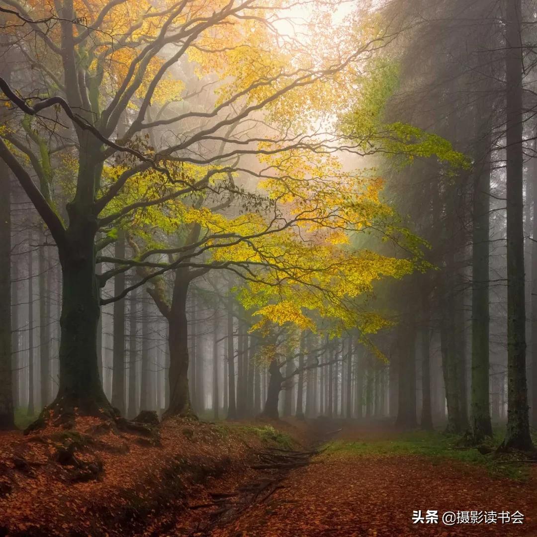 风光摄影需要后期吗,风光摄影必须正确曝光吗