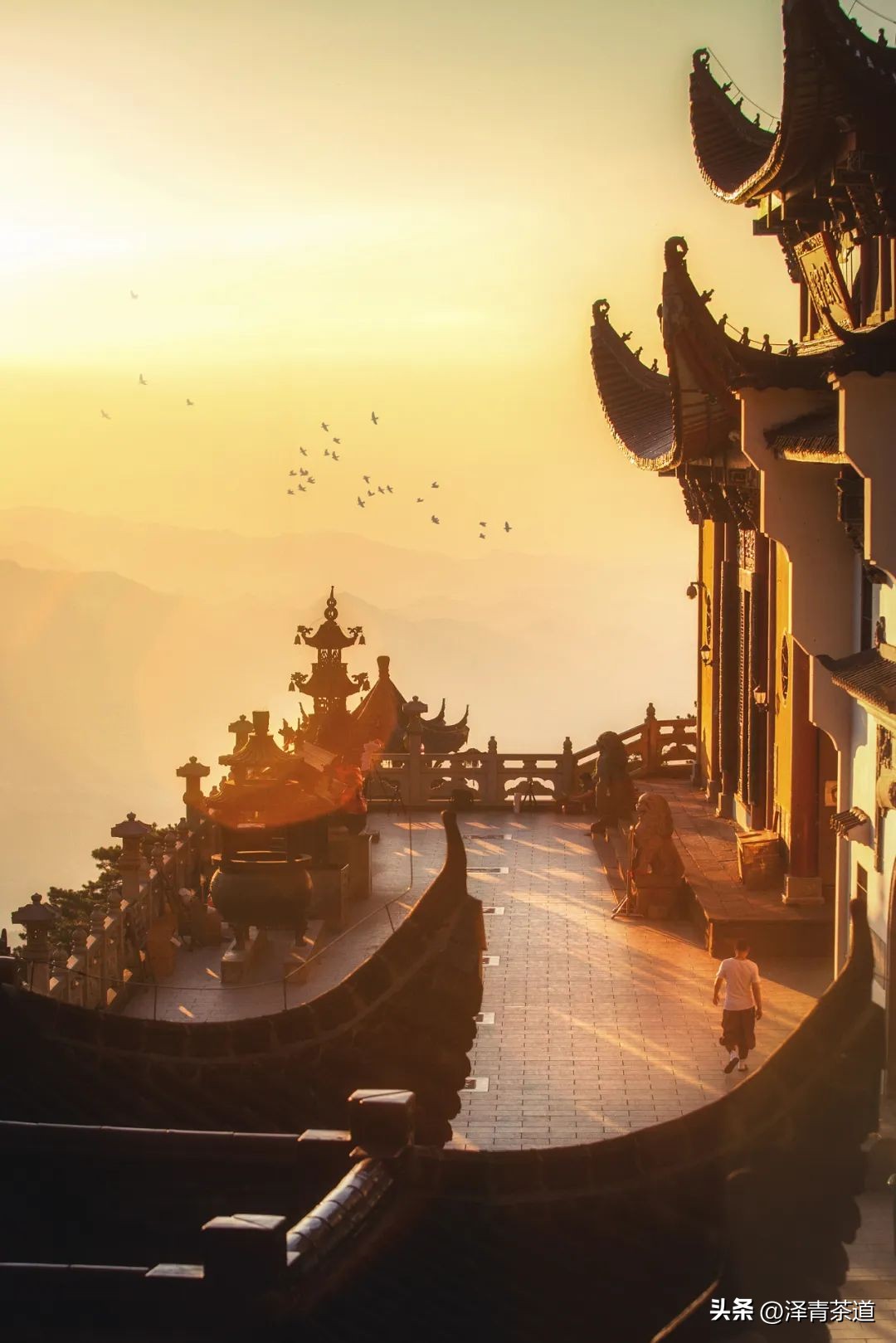 “自古名寺出名茶”，什么样的茶才能称为禅茶呢？