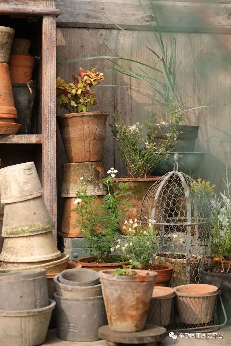 第八届园丁奖露台组《030号》洛基花园