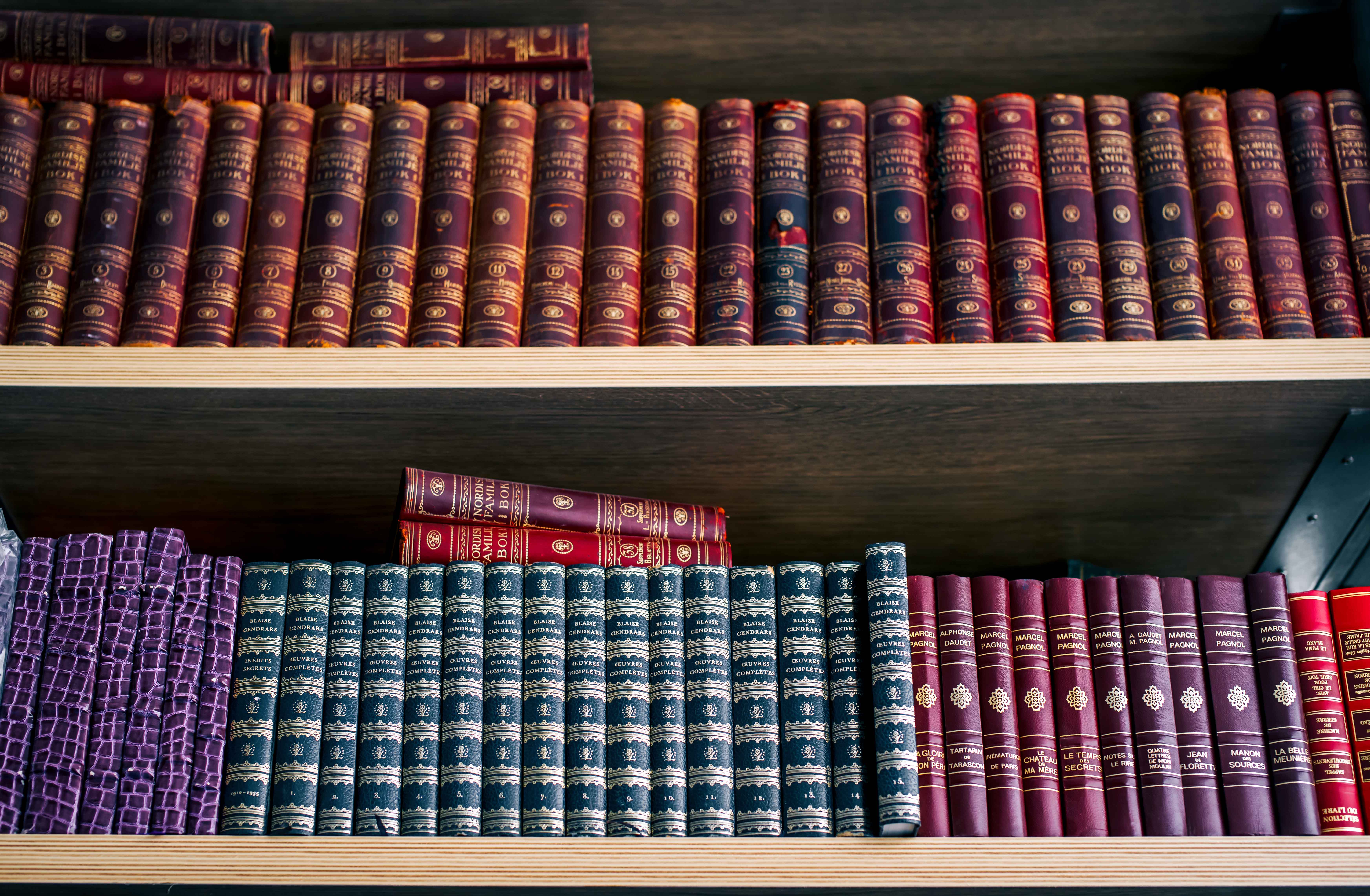 魔都扫街玩具视频,闲逛魔都