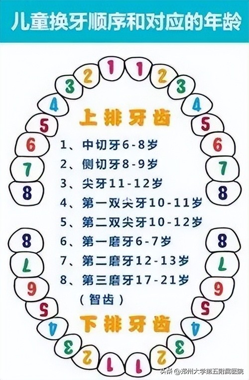 孩子换牙前必须要知道的几件事,怎么告诉孩子换牙不要害怕