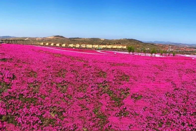 解析全国16个整村运营,解码全国16个整村运营经典案例