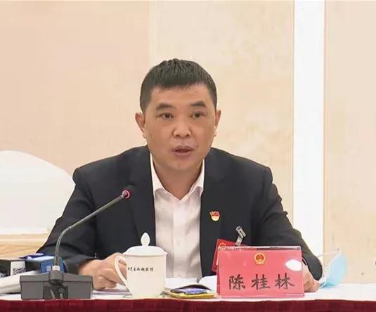 福建两会省人大代表莆田代表发言,福建省两会莆田代表