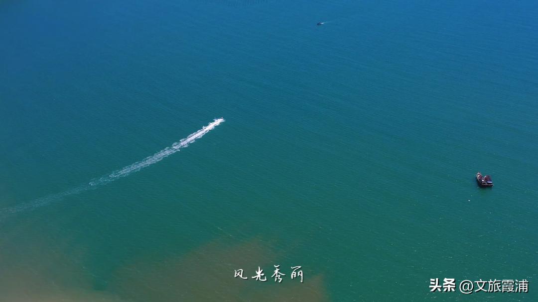 东海1号海钓,东海1号