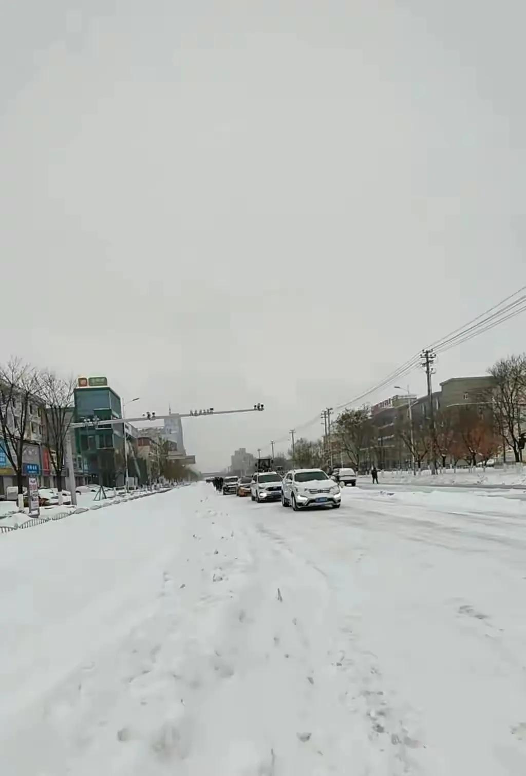 致敬老兵公交车,致敬盘锦