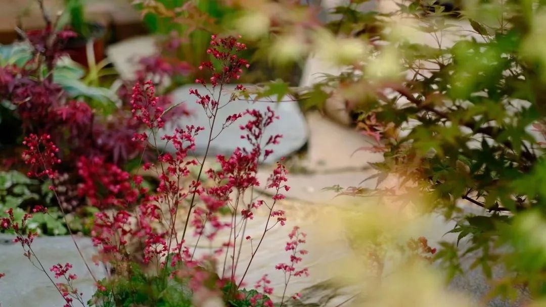 她在大连建了一座可以随便“折腾”的花园，处处体现着自然美感