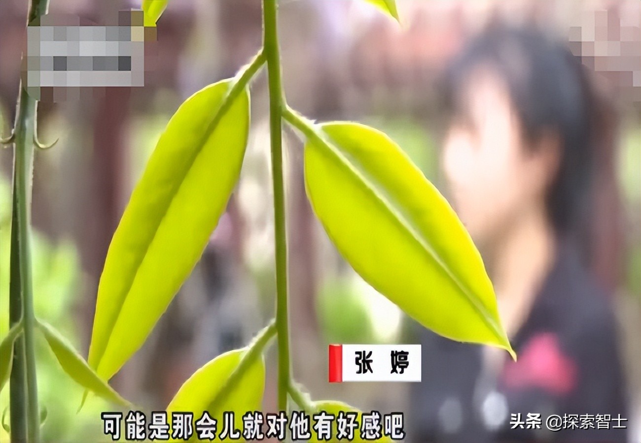 女子借闺蜜丈夫假结婚,借闺蜜老公结婚案是真的吗