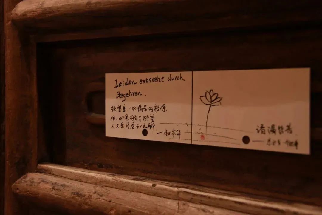 11月最值得看的10本好书,6本值得一看的好书