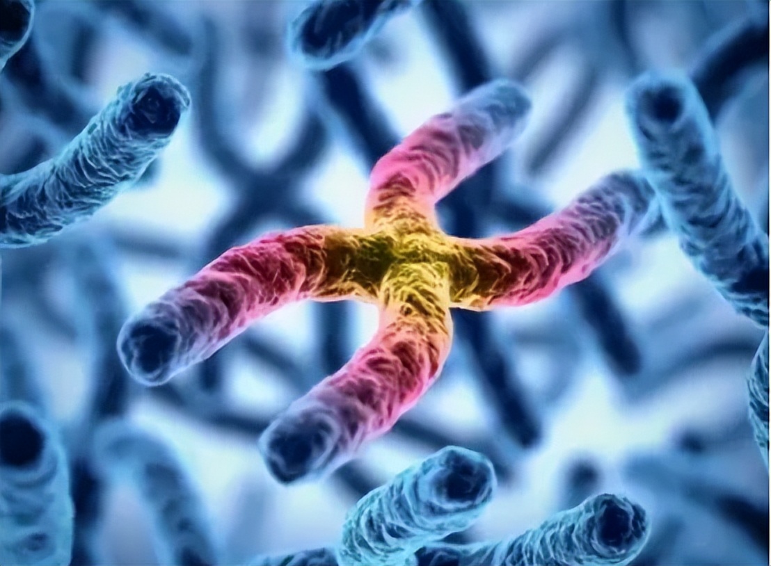 神经紊乱头痛的症状,失眠多梦头痛怎么治