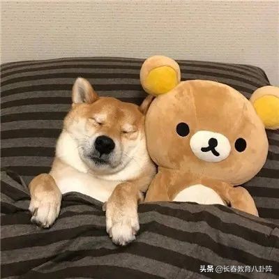 被父母“卷”进实验班，长春一中学生emo了