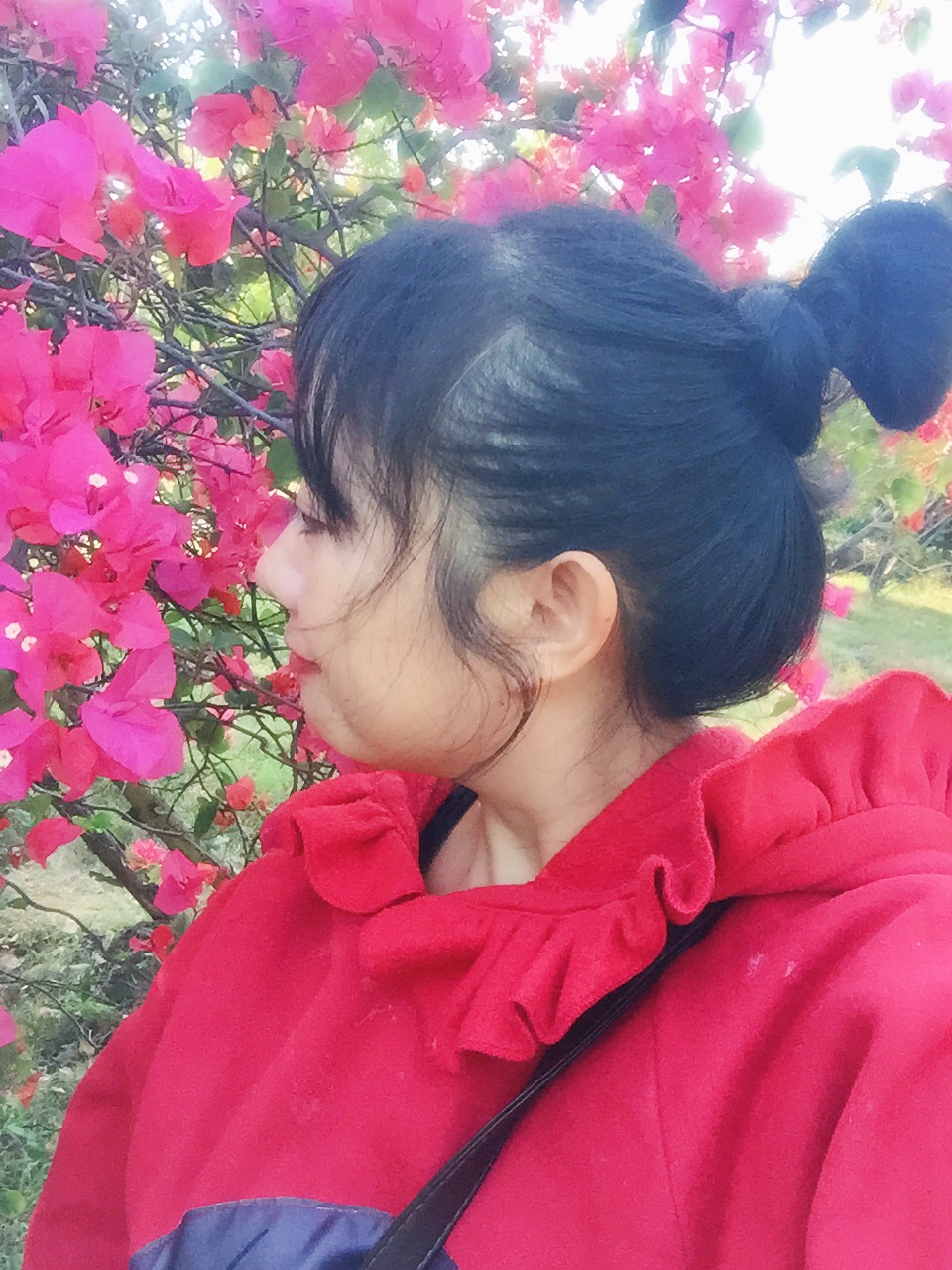 滨海公园海口全景,滨海公园海口海滩