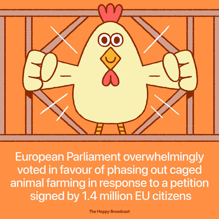 2021年世界各地的40个好消息，在沉重的一年，也能看到一些阳光