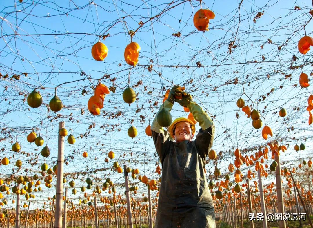 摄影比赛获奖名单公示,摄影大赛颁奖活动暨摄影展美篇