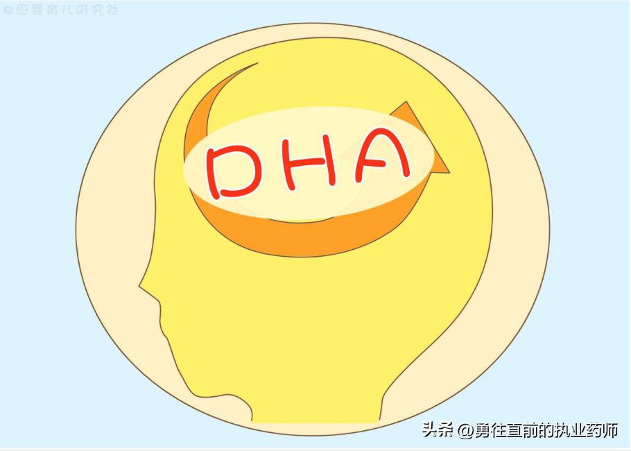 有脑黄金之称的dha怎么补充最科学,日本核污水对dha深海鱼油有影响吗