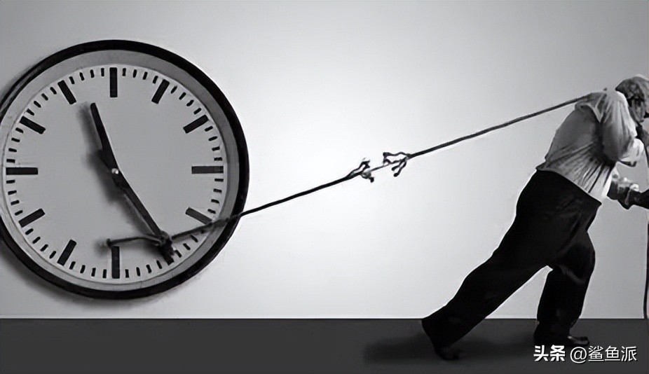 鲨鱼哥一年收入多少,鲨鱼哥讲创业