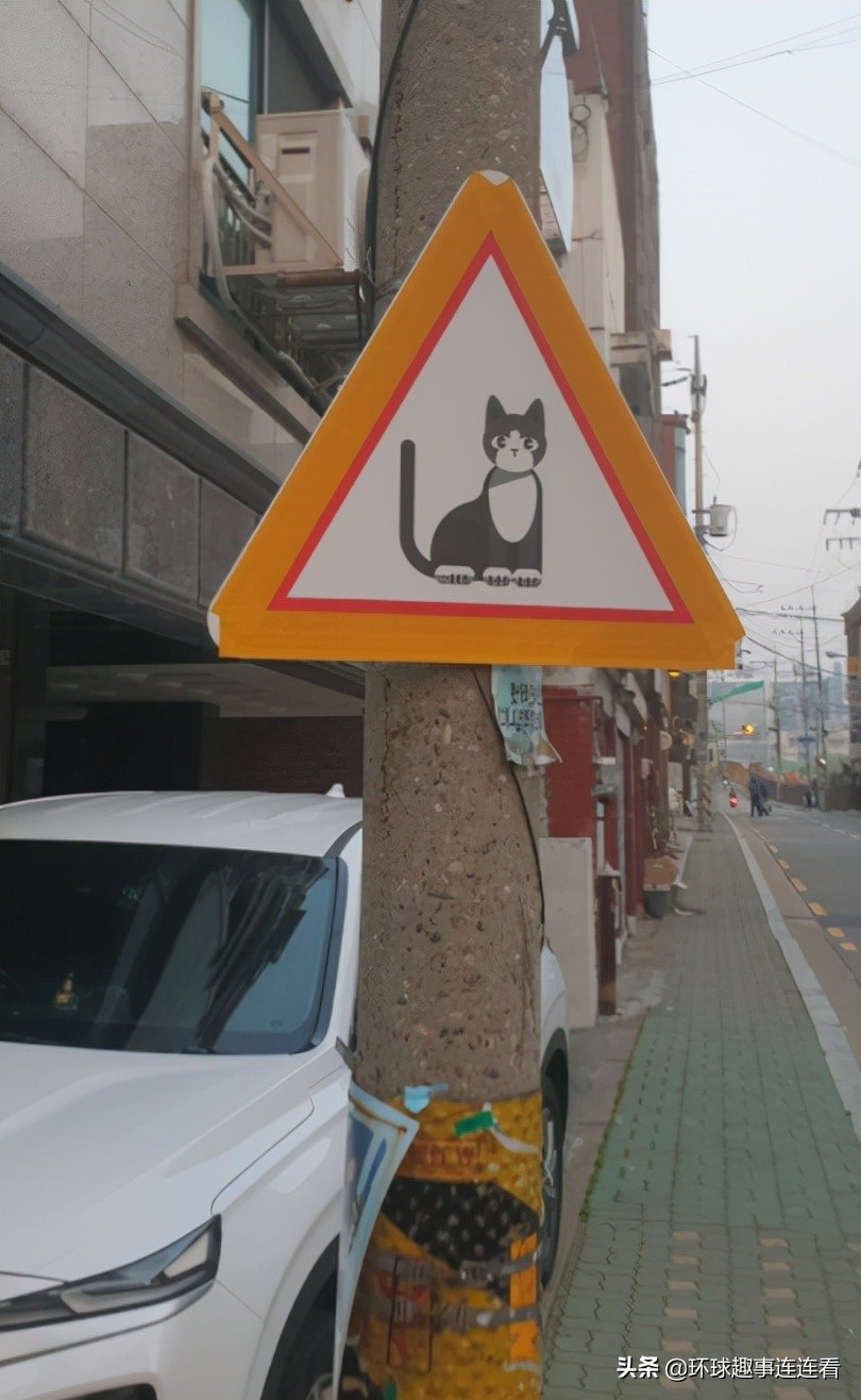 10张让人颠覆的图片,5张让人震撼的图片