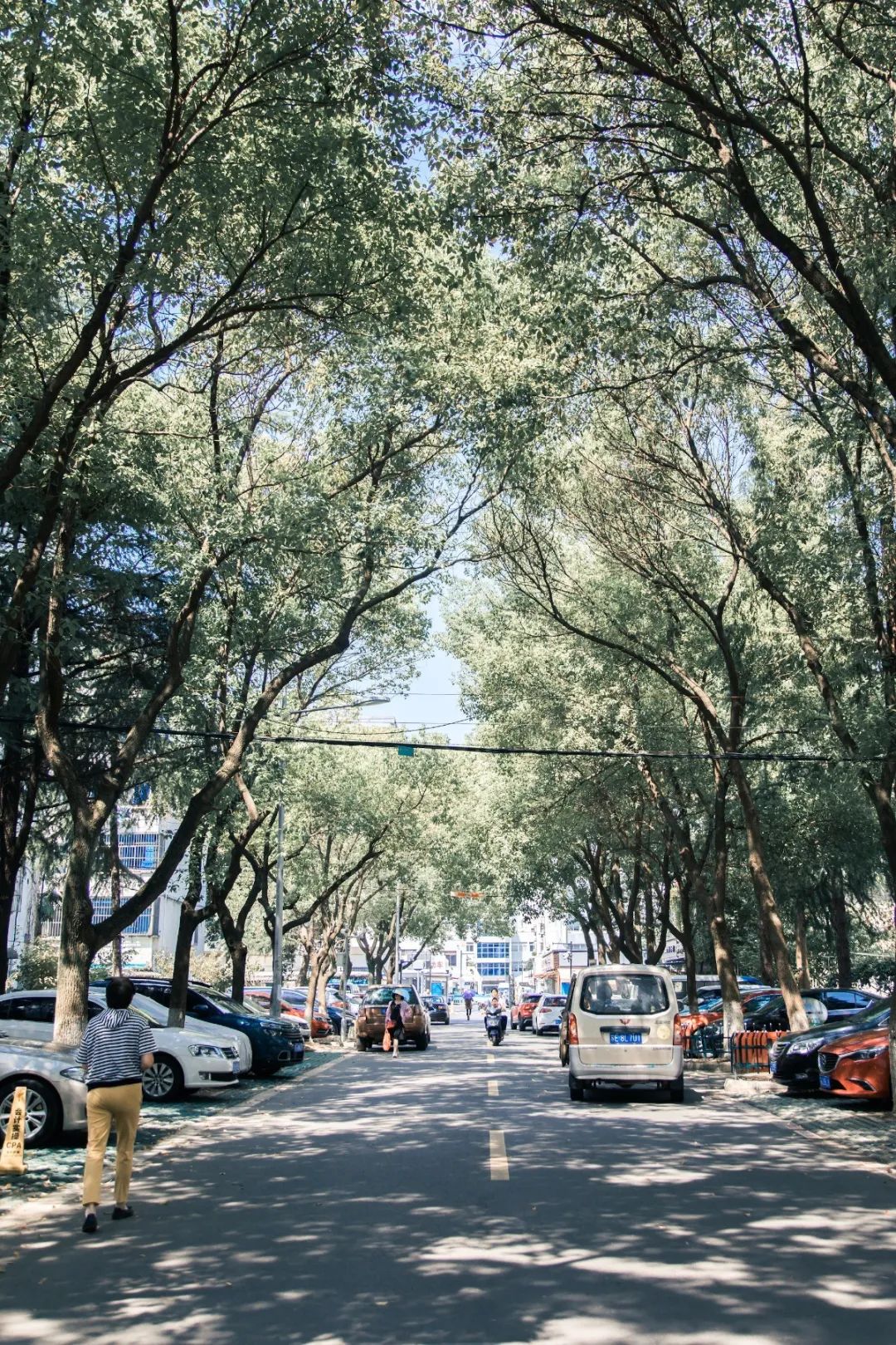 苏州这个地方，只贩卖生活方式