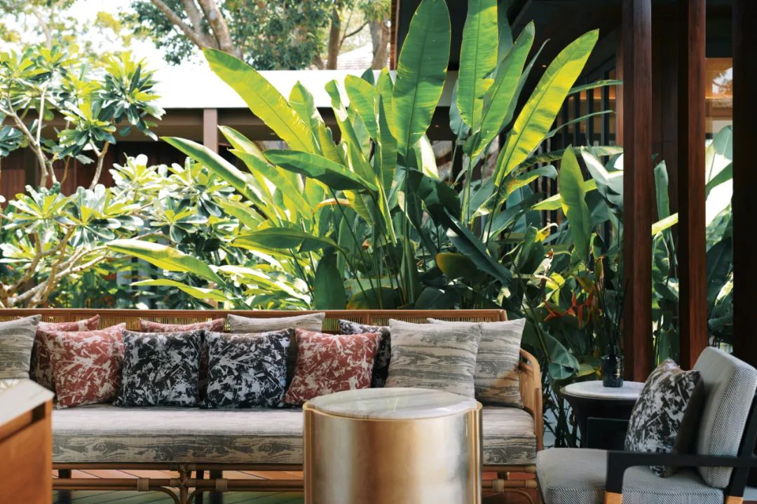 在泰国待了14天,在泰国待了60天