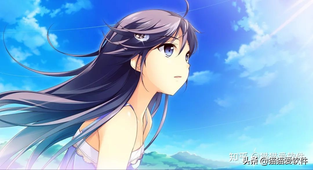 推荐5款高效办公软件,求大家介绍几款办公常用软件