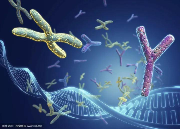 男性染色体导致不育可以治愈吗,男性不育症中最常见的染色体异常