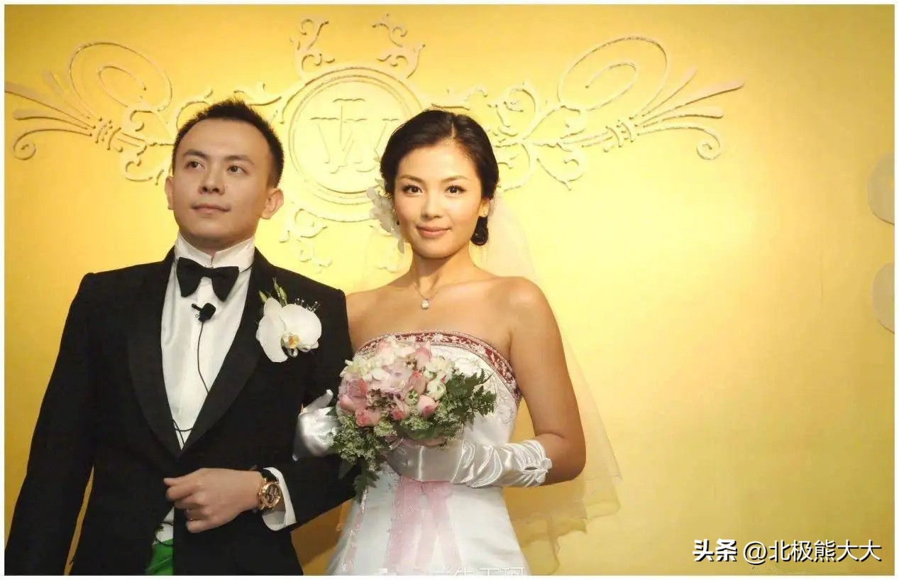 从贤妻到女强人刘涛都经历了什么,贤妻刘涛真实身份