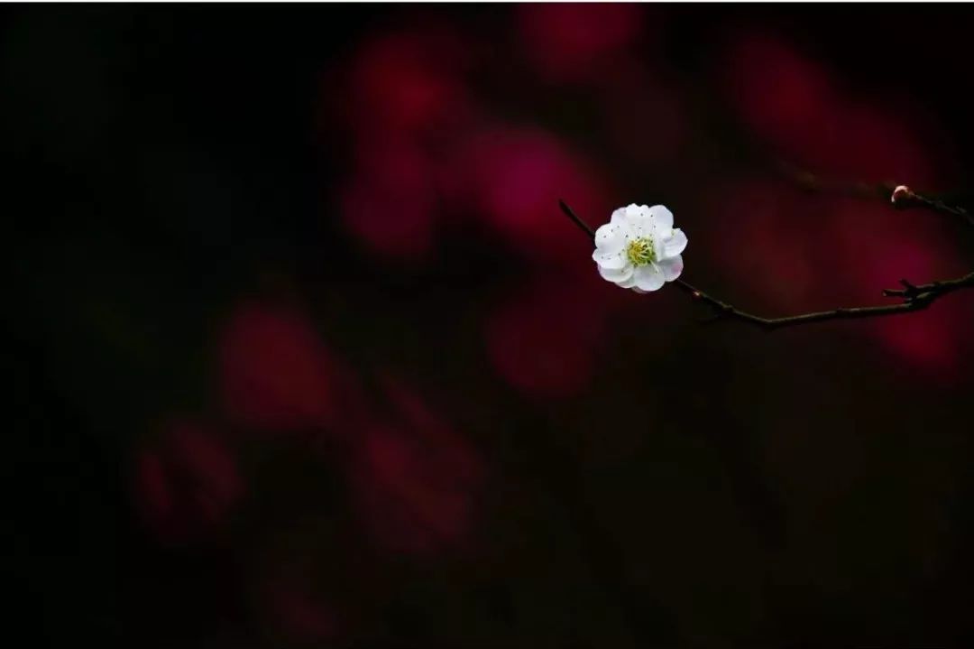 光比的控制方法和技巧,大光比怎么设置