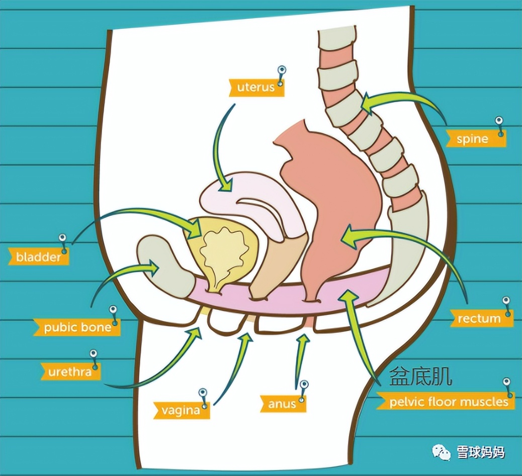 雷佳音曝汤唯尿频被指情商低,汤唯产后尿频
