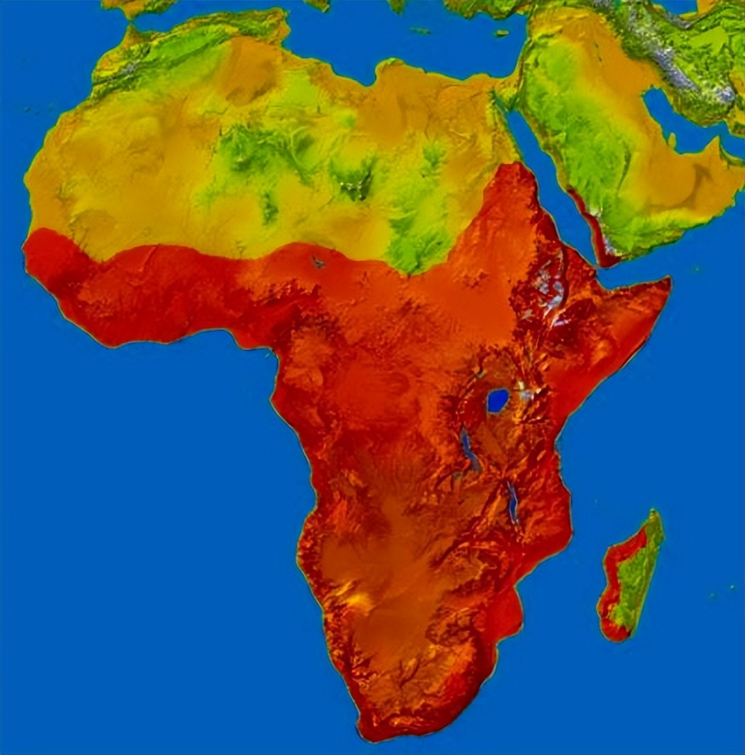 沼泽侧颈龟老是欺负别的龟,沼泽侧颈龟咬乌龟