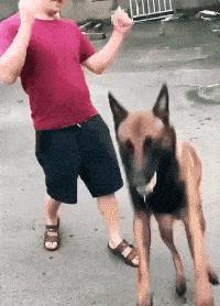 “无意中在女同事车上发现的，这是用来干嘛的？”网友们内涵了！