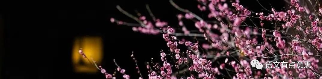 孤山踏青赏梅,去孤山看梅怎么走