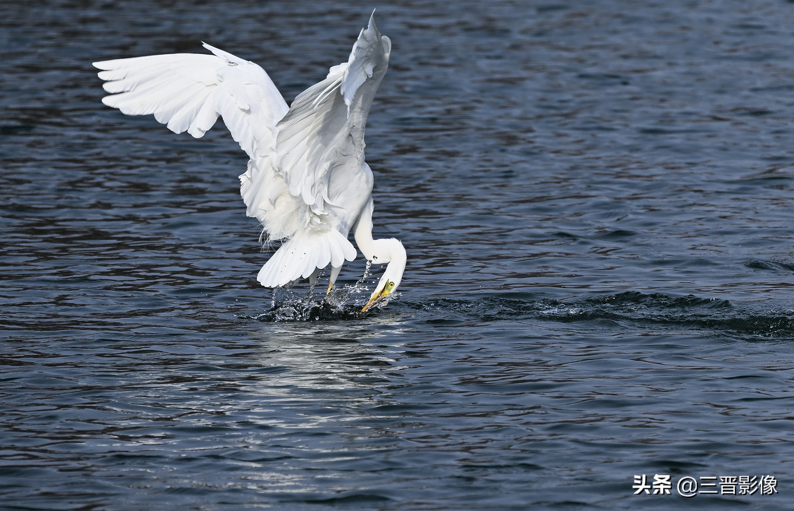 摄影三脚架四脚架哪个更实用,摄影爱好者用什么三脚架比较好