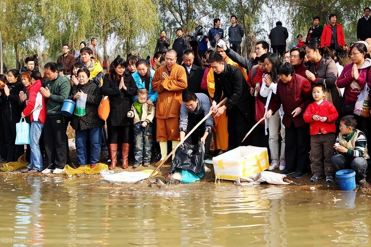 珍珠鳖在中国有天敌吗,珍珠鳖在美国泛滥了吗