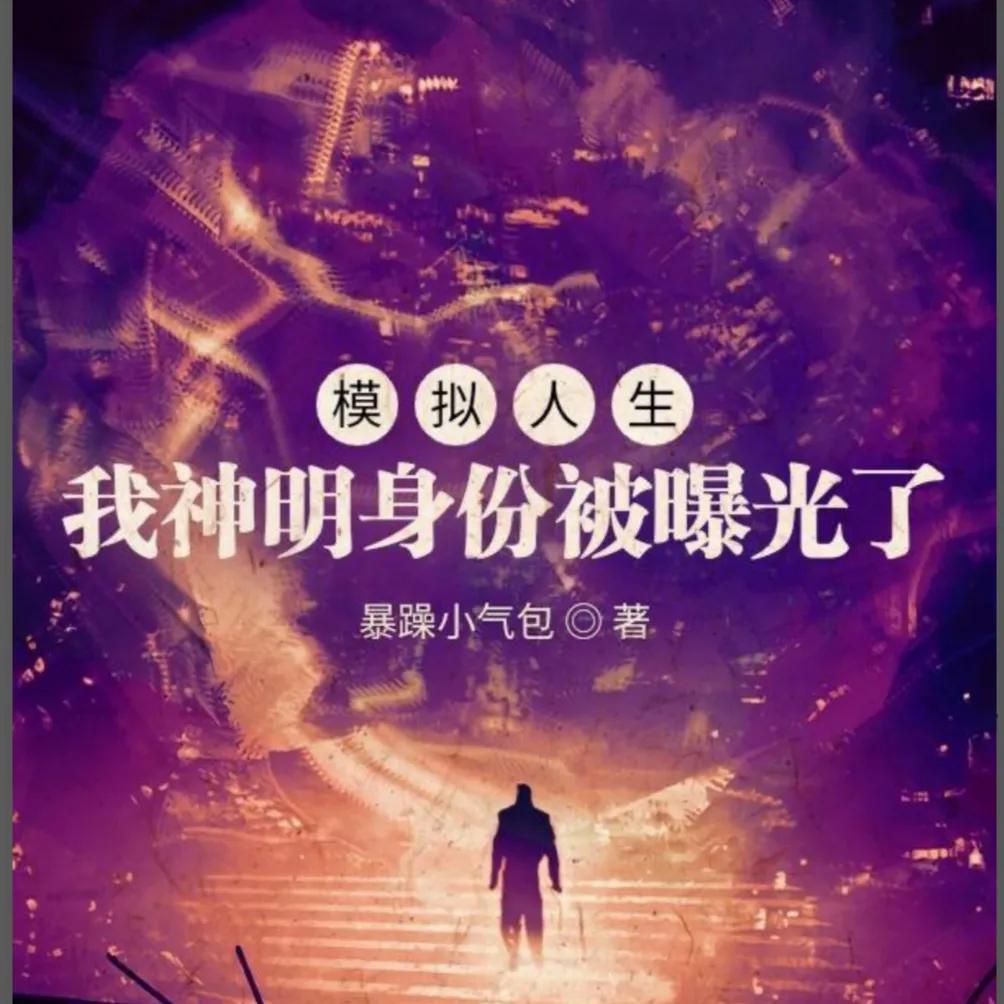 轮回模拟小说,轮回模拟小说解说