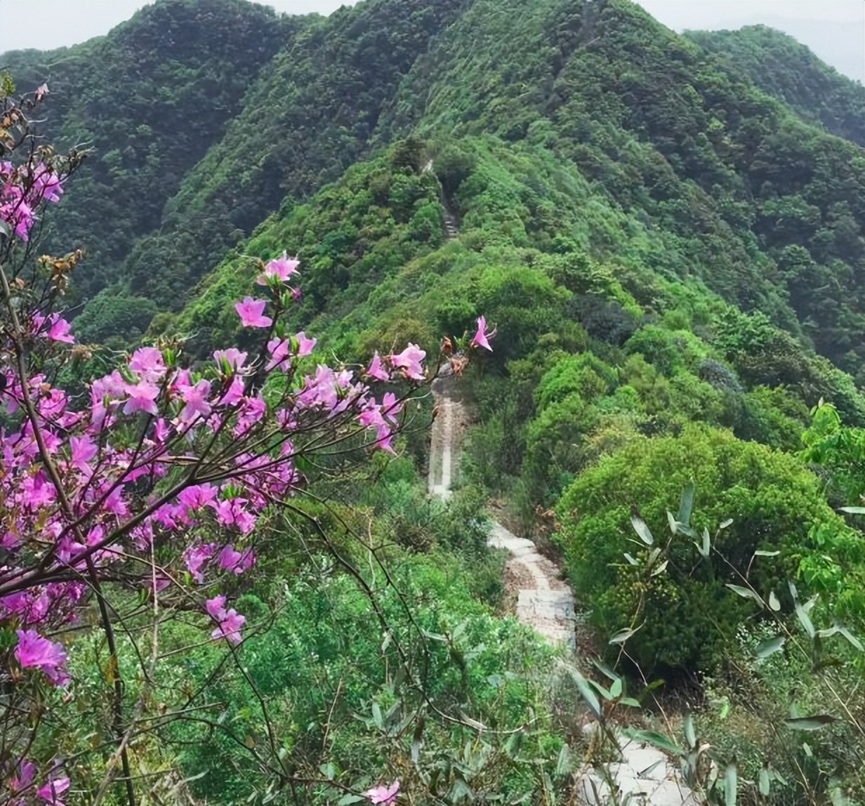 2022年五一杭州哪些地方可以玩,五一出游地点推荐杭州周边一日游