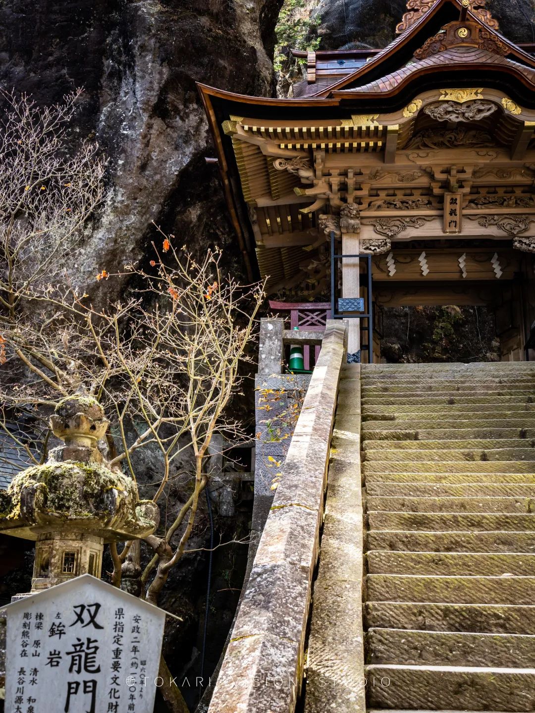 日本旅行跟团游东京北海道,日本旅行中文团