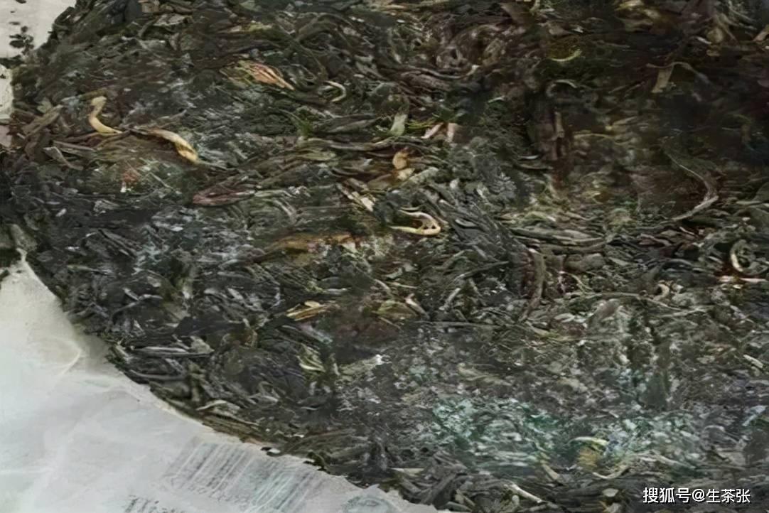 茶饼有霉味是什么原因造成的,茶饼怎么判断是陈味还是霉味