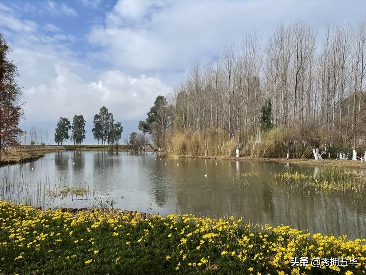 昆明5号线攻略,昆明5号线路线详细时间