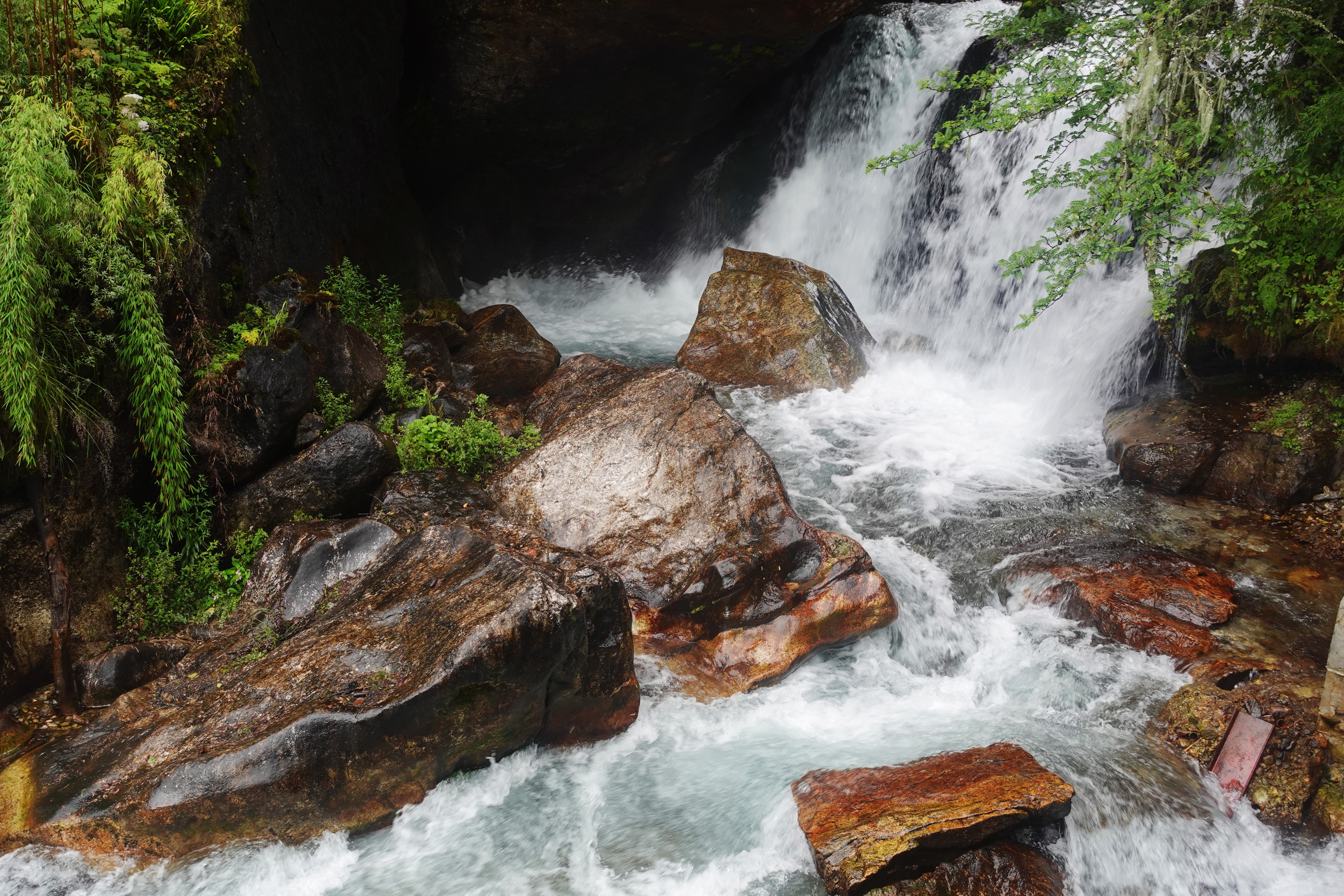 云南最高海拔的茶叶,海拔最高的茶叶产地在哪里